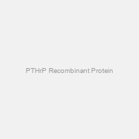 PTHrP Recombinant Protein